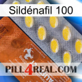 Sildénafil 100 42